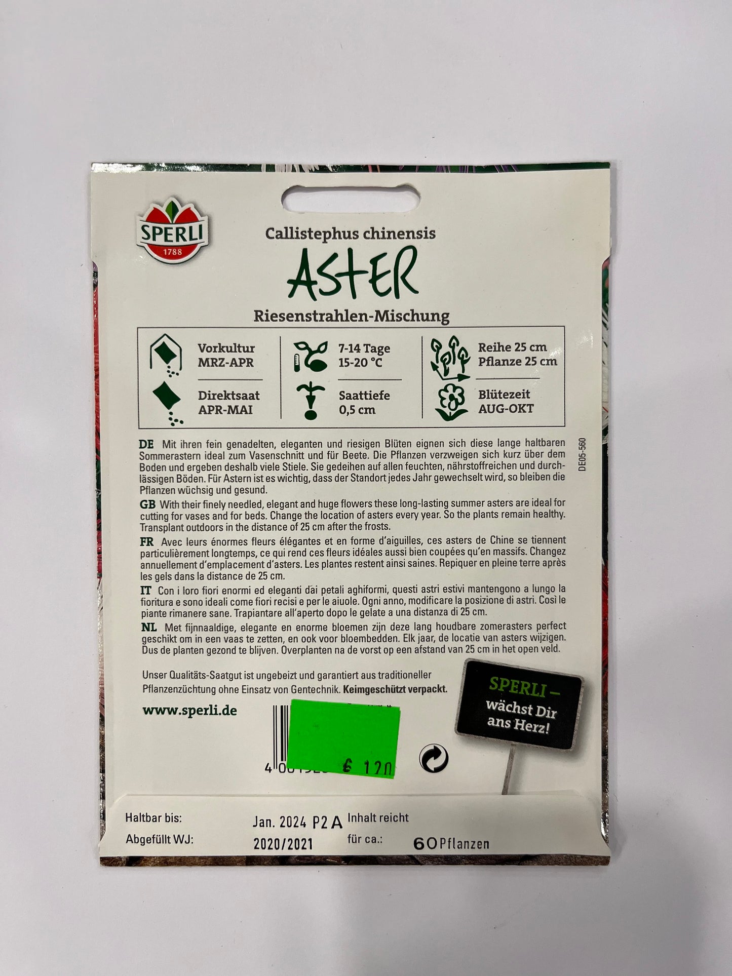 Aster Riesenstrahlen-Mischung