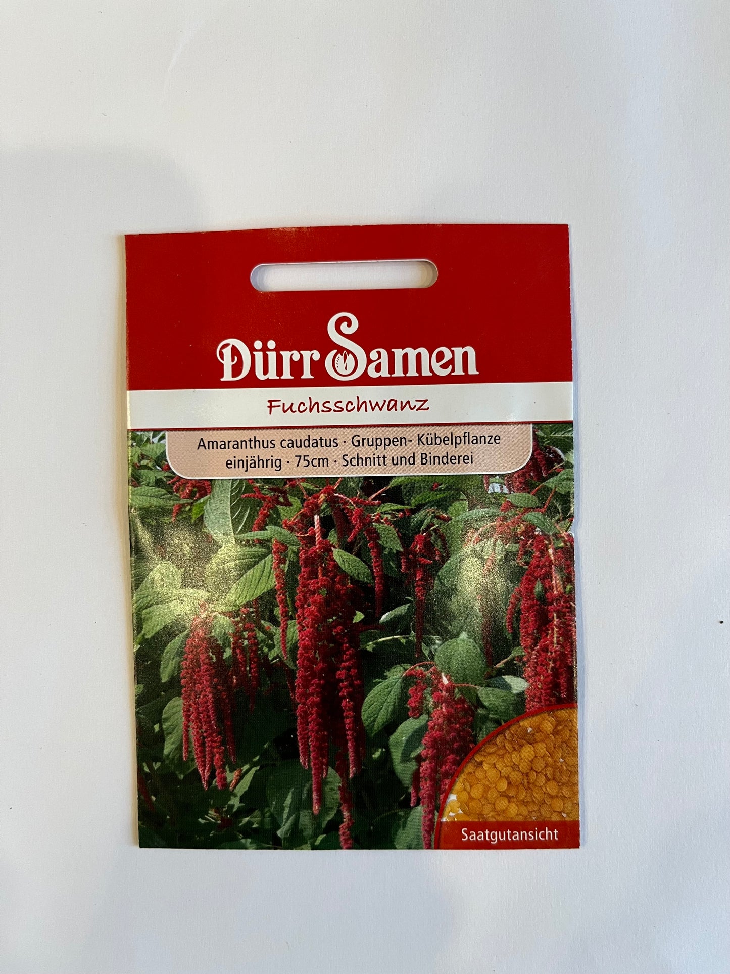 Amaranthus/Fuchsschwanz