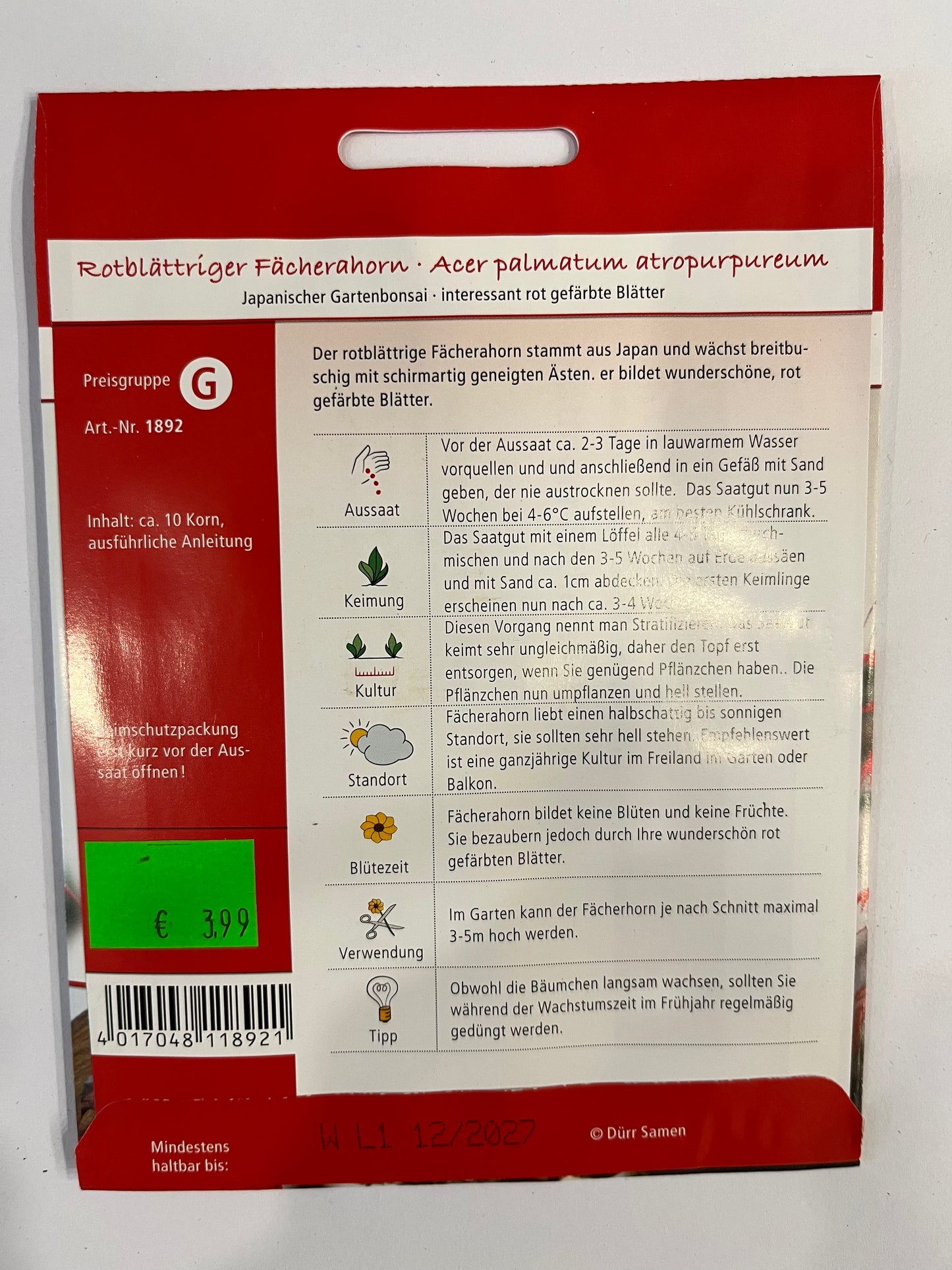 Bonsai, Rotblättriger Fächerahorn