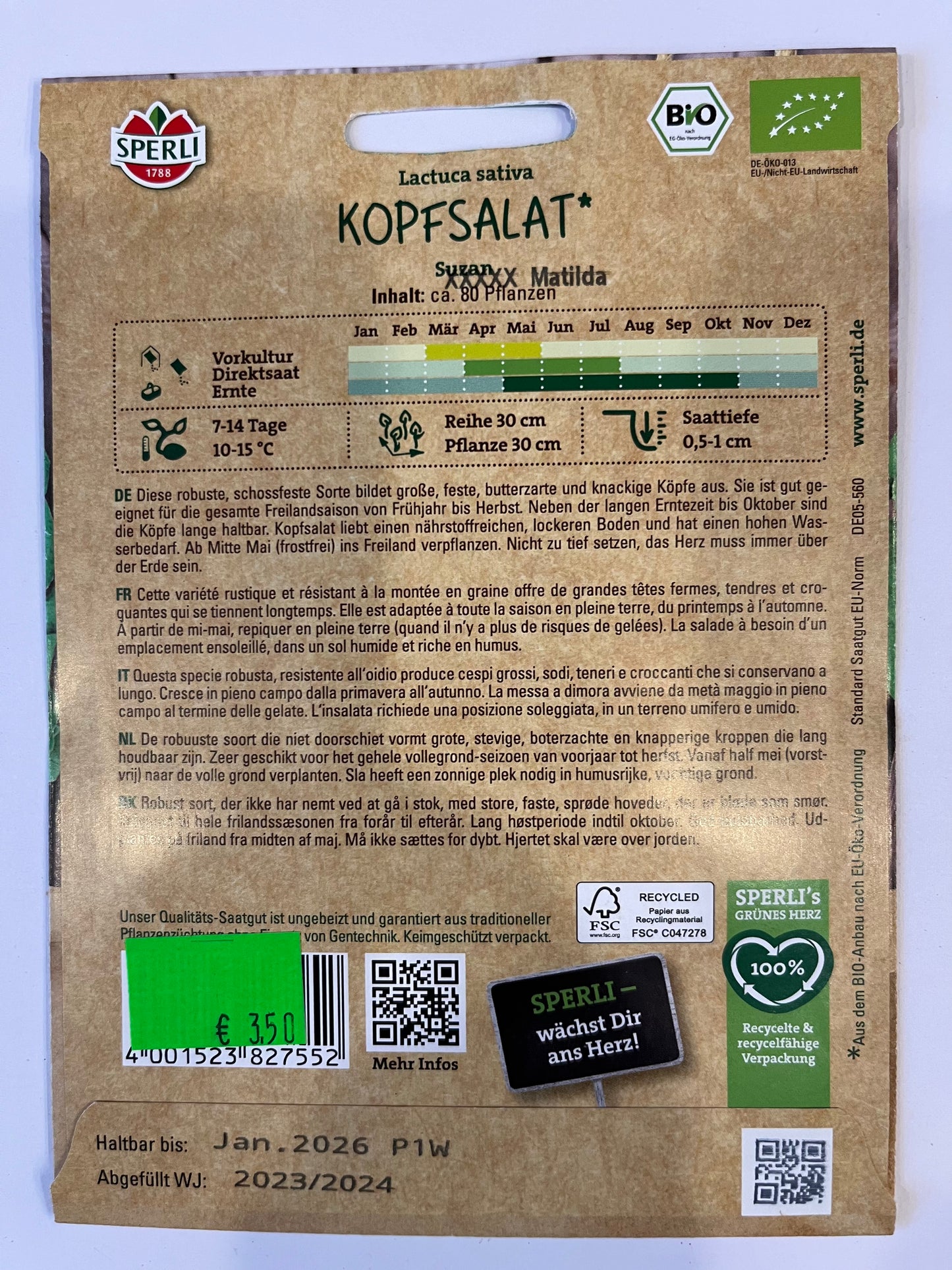 Salat Kopfsalat Suzan