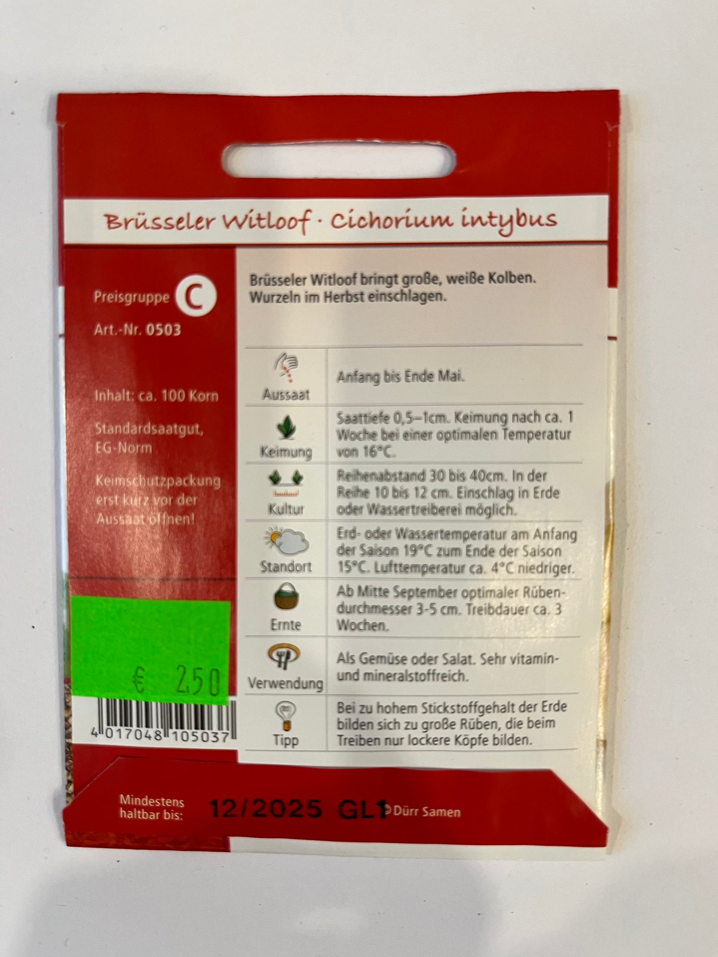 Chicorée Brüsseler Witloof