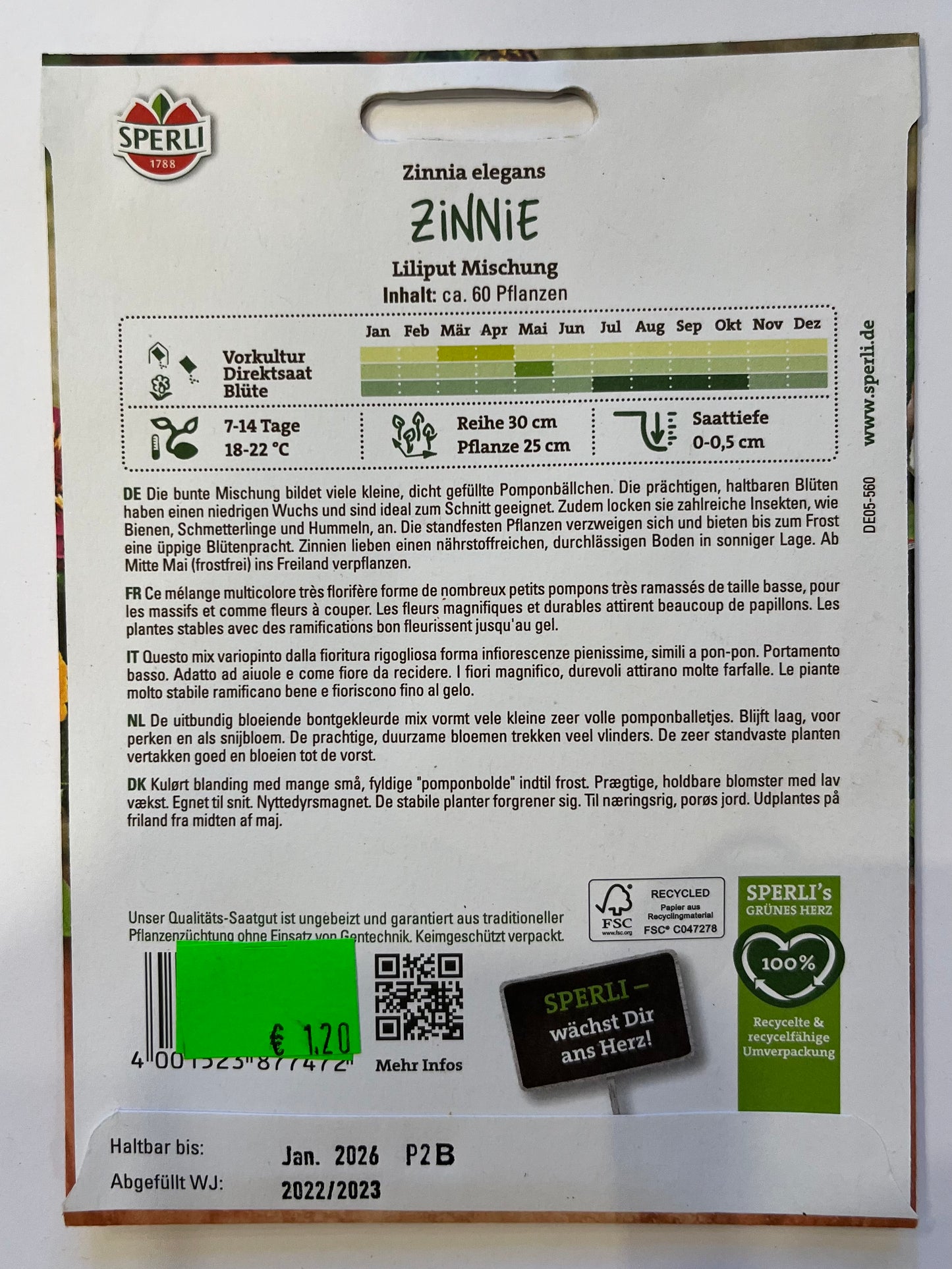 Zinnie Liliputaner Mischung