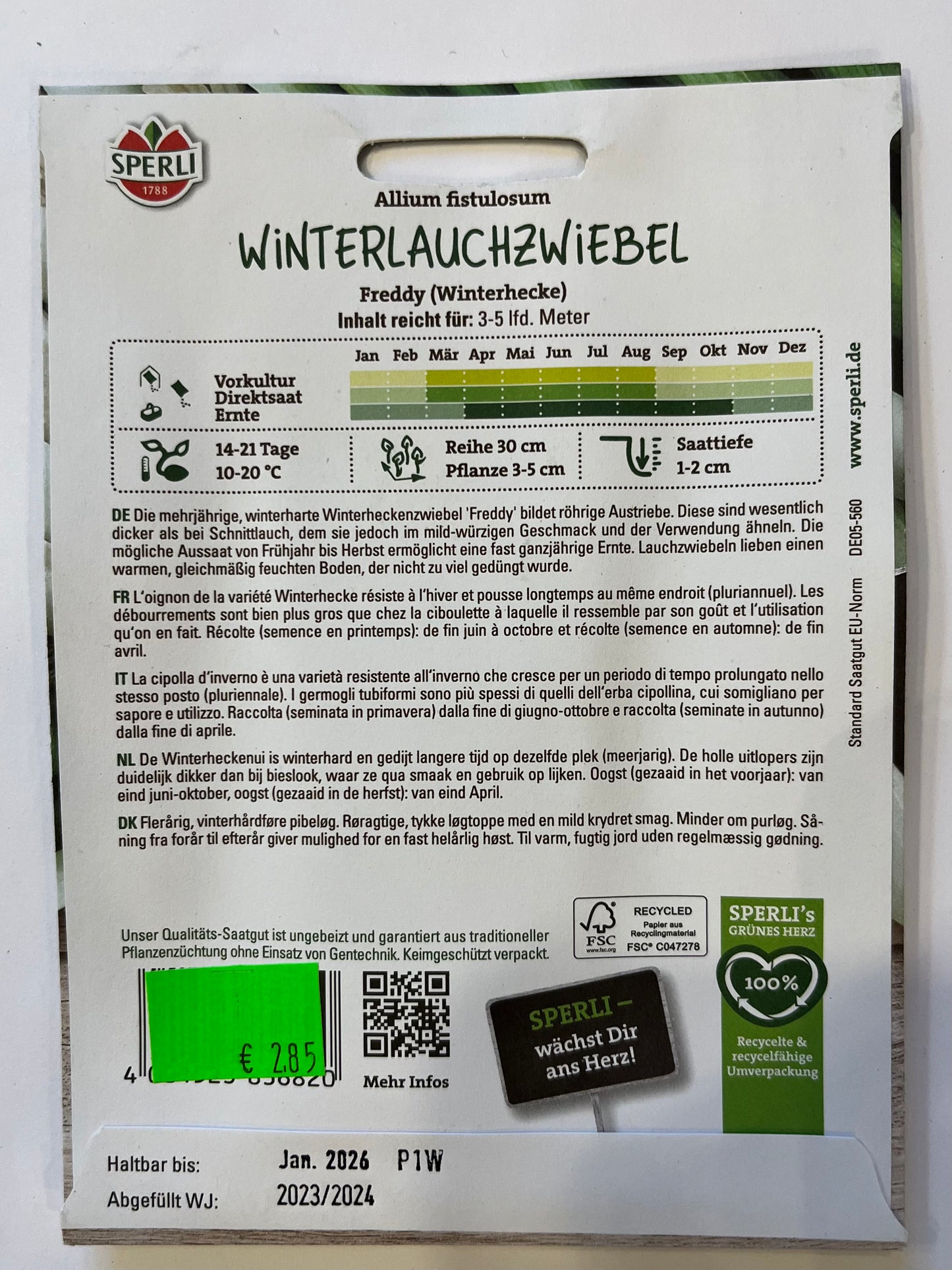 Winterheckenzwiebel Freddy