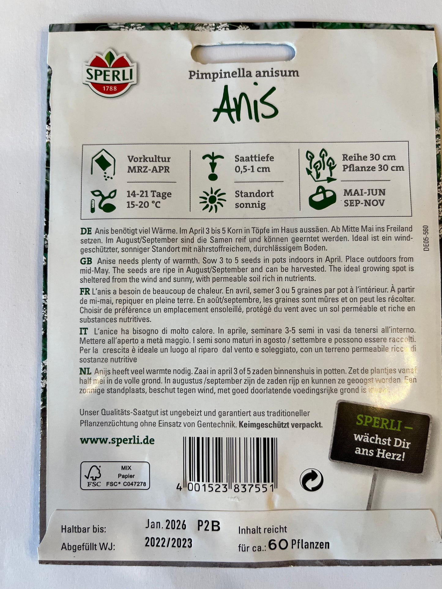 Anis