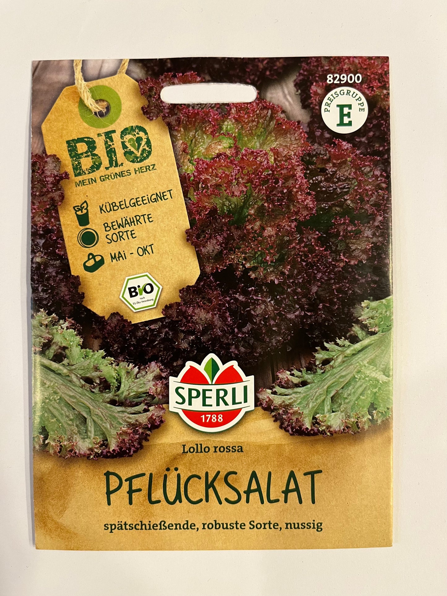 Salat Pflücksalat Lollo Rossa