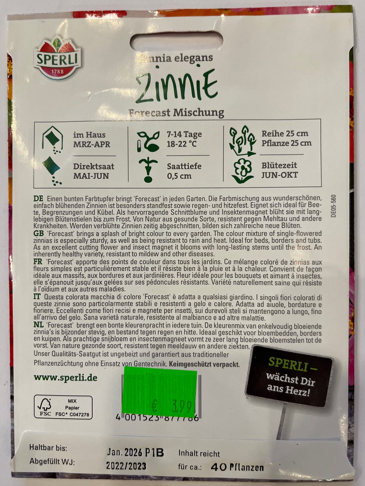 Zinnie Forecast Mischung