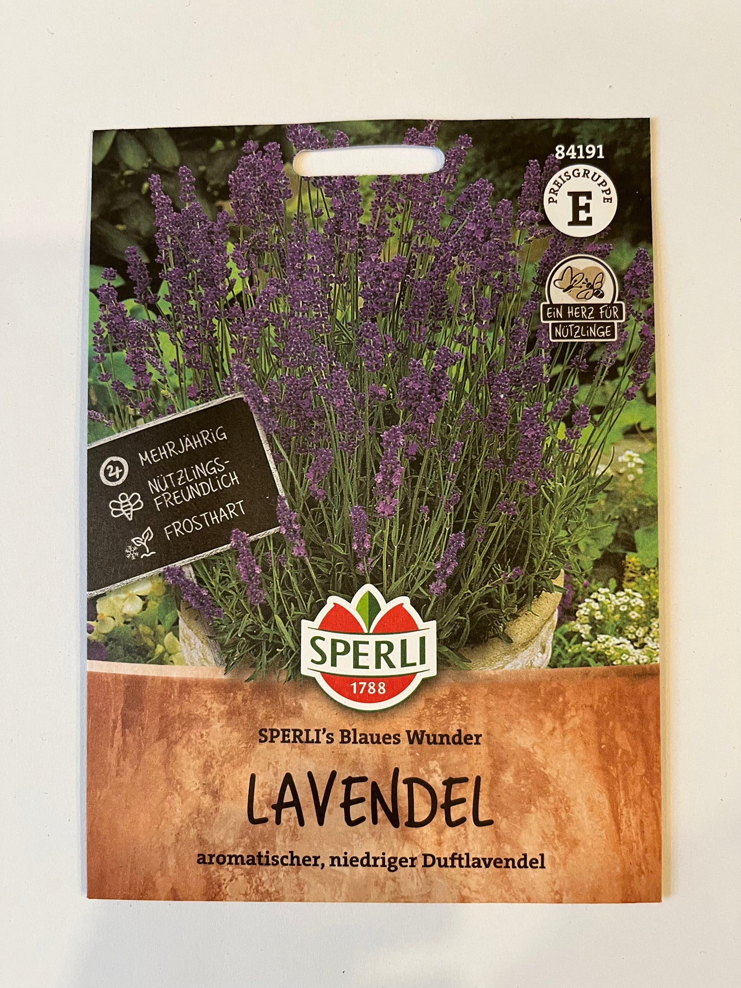 Lavendel Sperli‘s Blaues Wunder