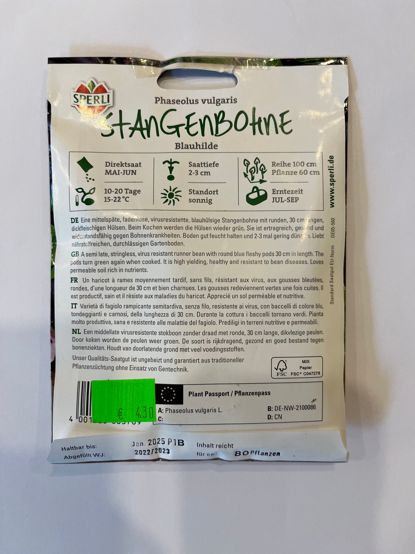 Stangenbohne Blauhilde