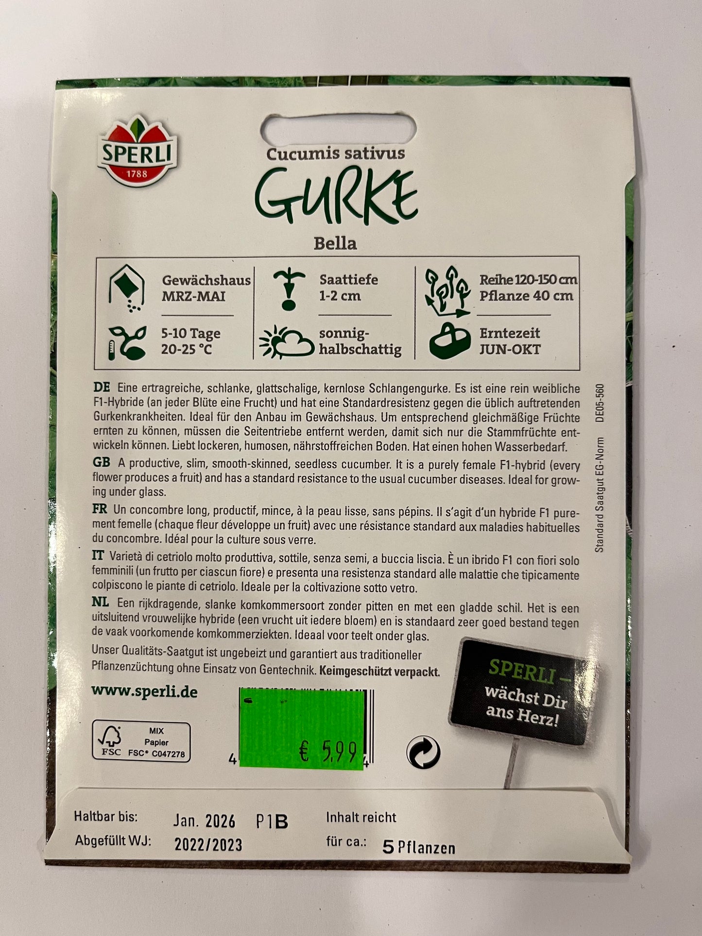 Salatgurke Bella F1-Hybride