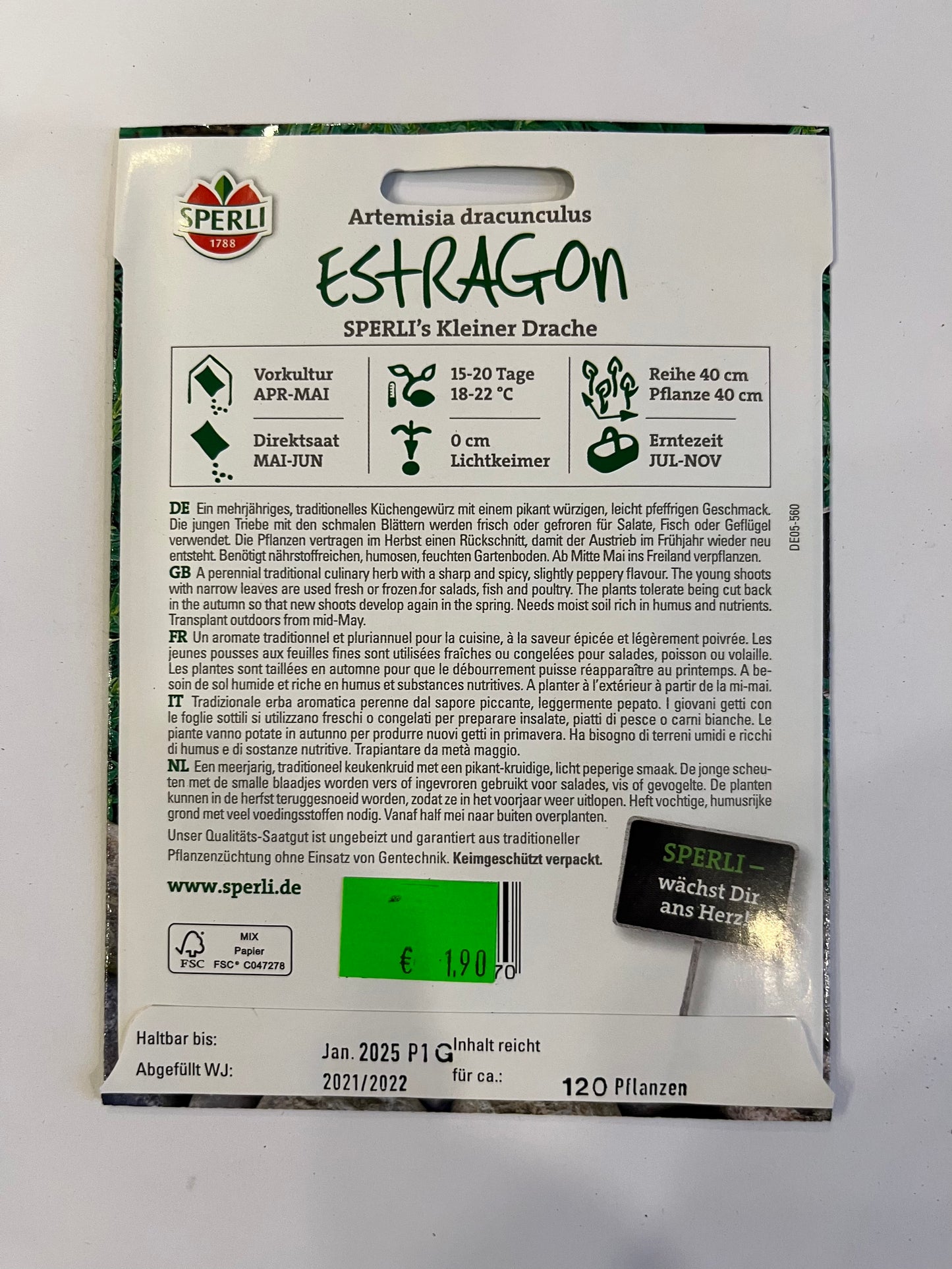 Estragon Sperli‘s kleiner Drache