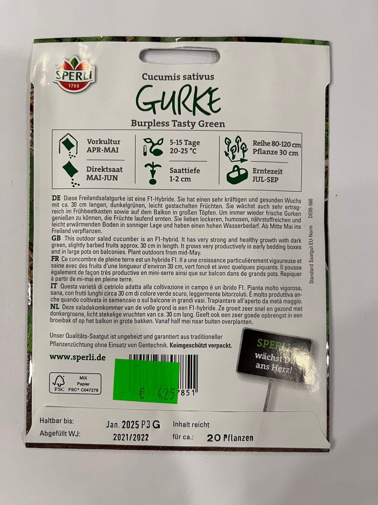 Salatgurke Burpless Tasty F1-Hybride