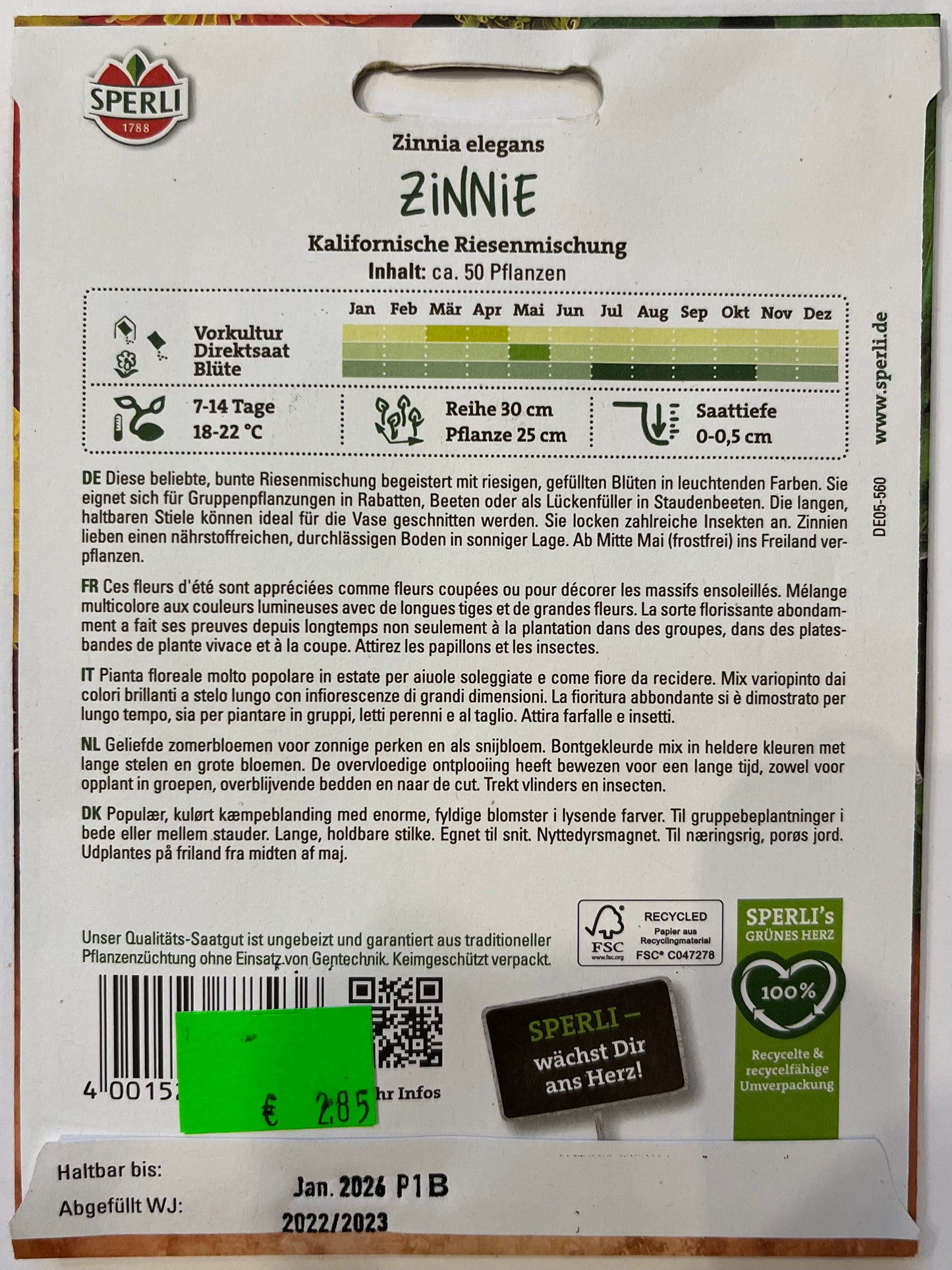 Zinnie Kalifornische Riesenmischung
