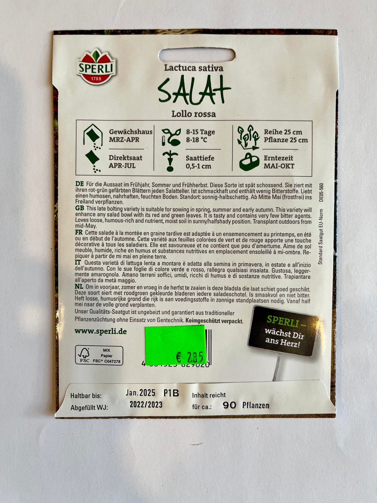 Pflücksalat Lollo Rossa