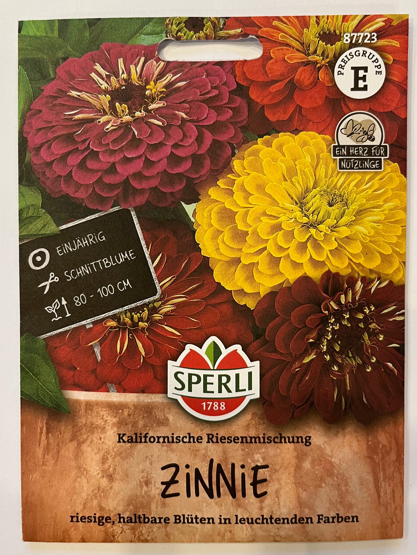 Zinnie Kalifornische Riesenmischung