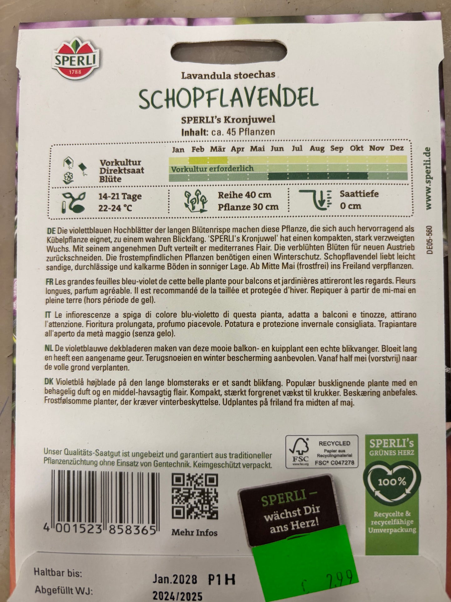Schopflavendel