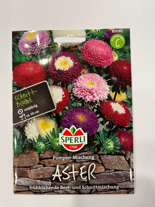 Astern Pompon- Mischung