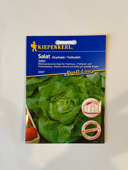 Kopfsalat John