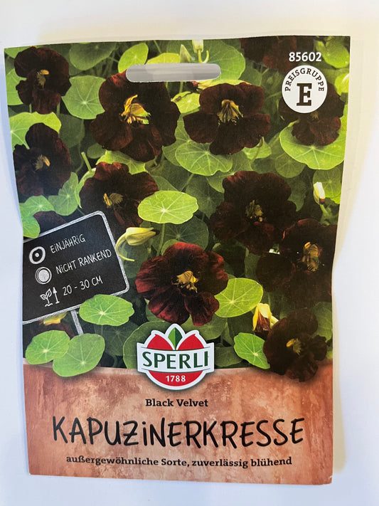 Kapuzinerkresse Black Velvet
