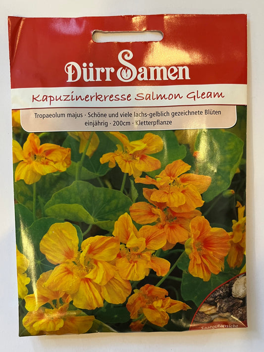 Kapuzinerkresse Salmon Gleam