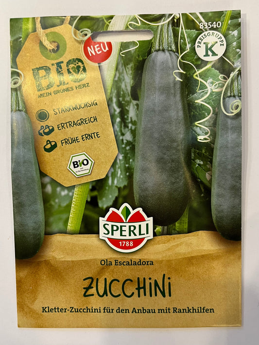 Zucchini Ola Escaladora