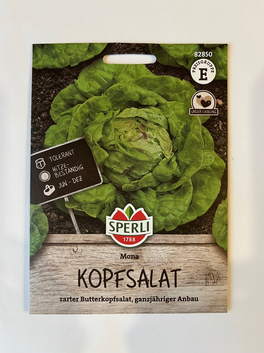 Kopfsalat Mona