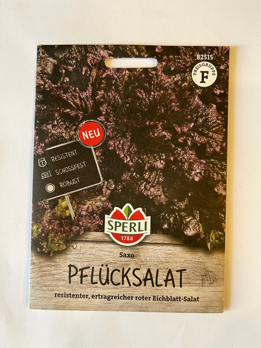 Pflücksalat Saxo