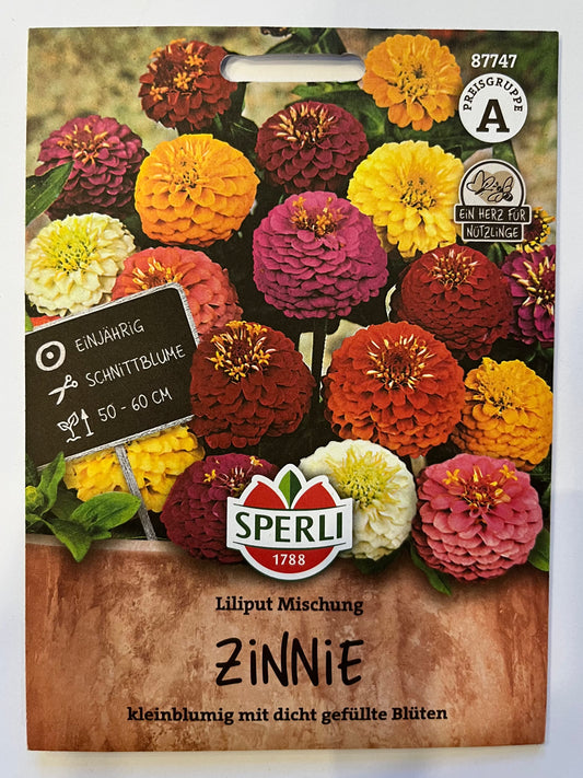 Zinnie Liliputaner Mischung
