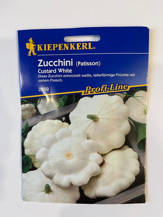 Zucchini (Patisson) Custard White