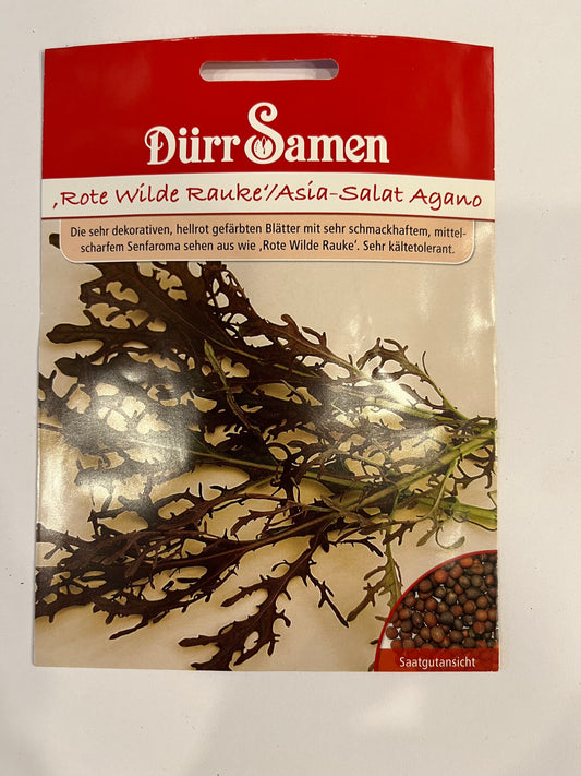 Rauke, Rote Wilde Rauke, Asia-Salat Agano