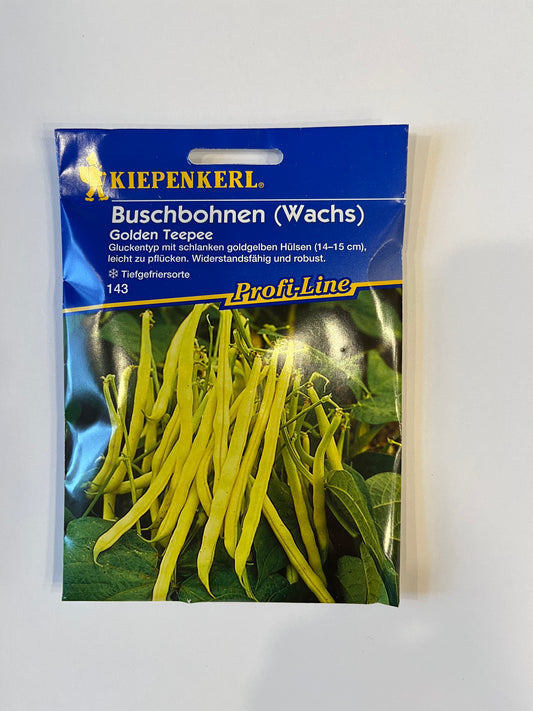 Buschbohnen Wachsbuschbohnen Golden Teepee
