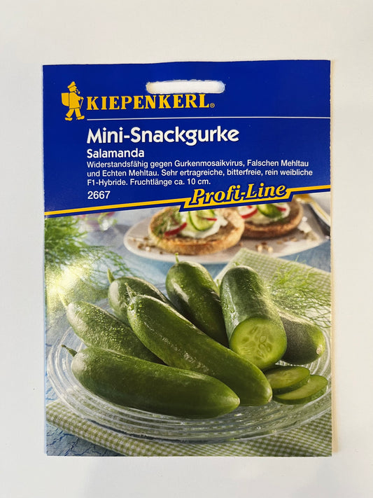 Mini-Snackgurke Salamanda