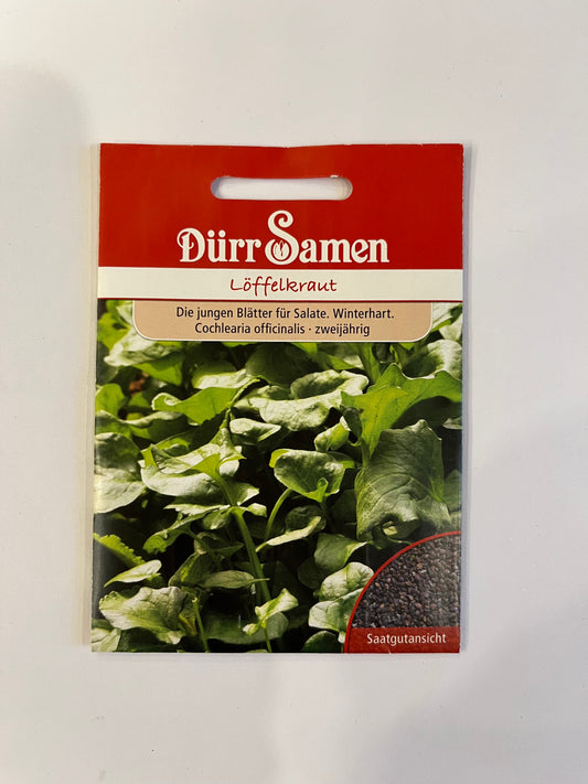 Löffelkraut