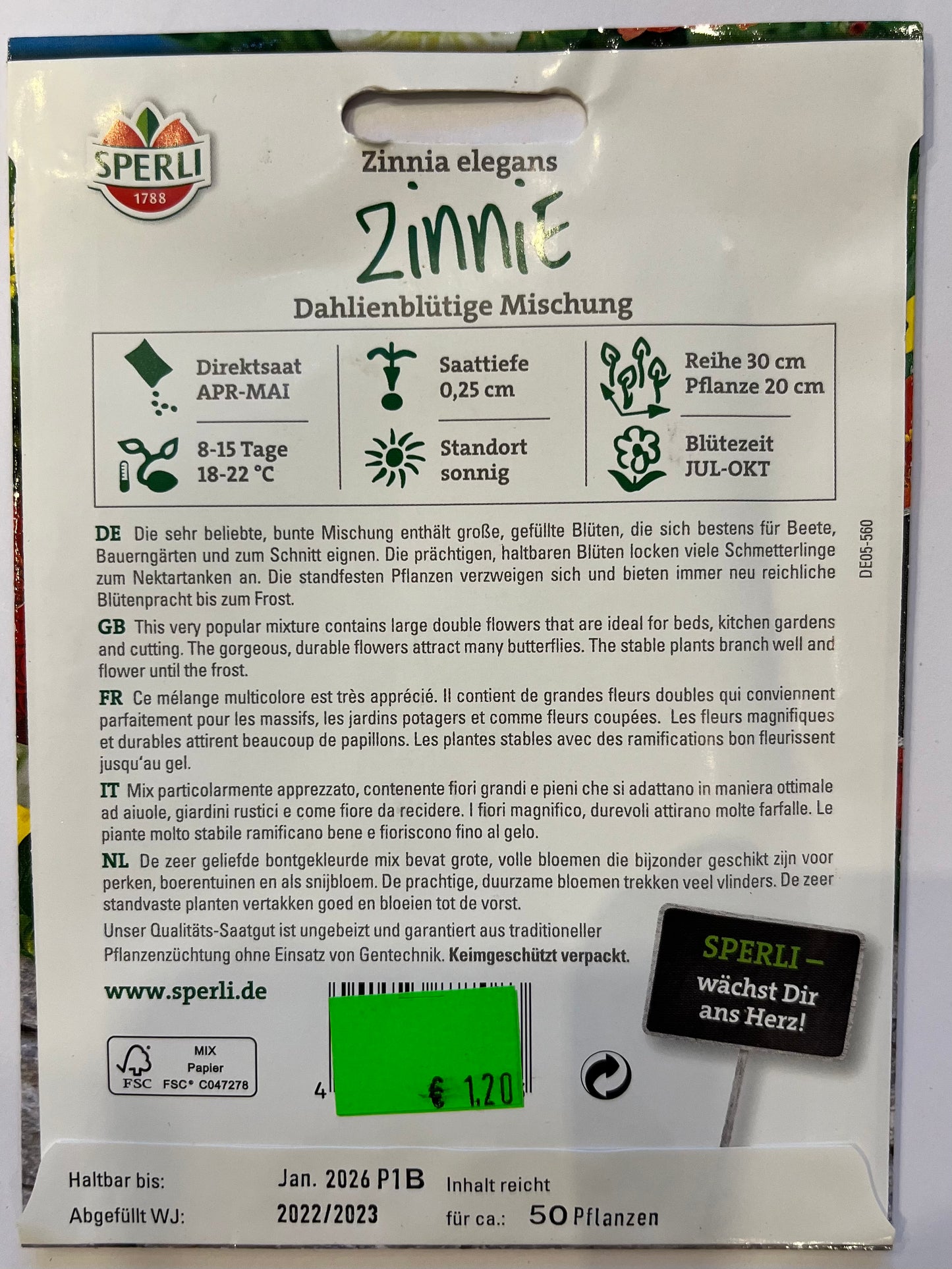 Zinnie Dahlienblütige Mischung