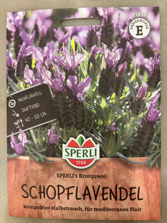 Schopflavendel