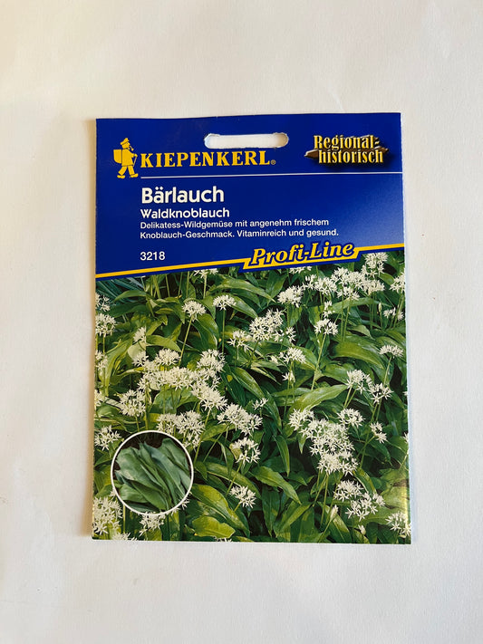 Bärlauch ( Waldknoblauch)