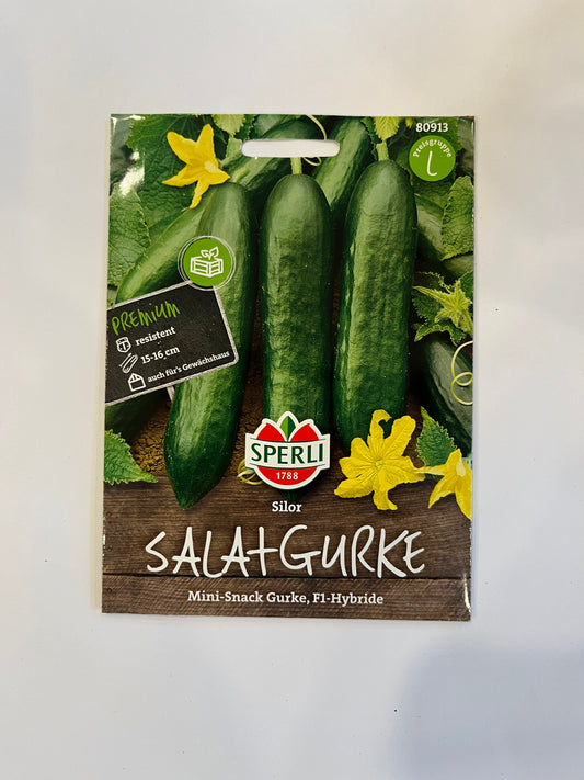 Salatgurke Silor F1-Hybride