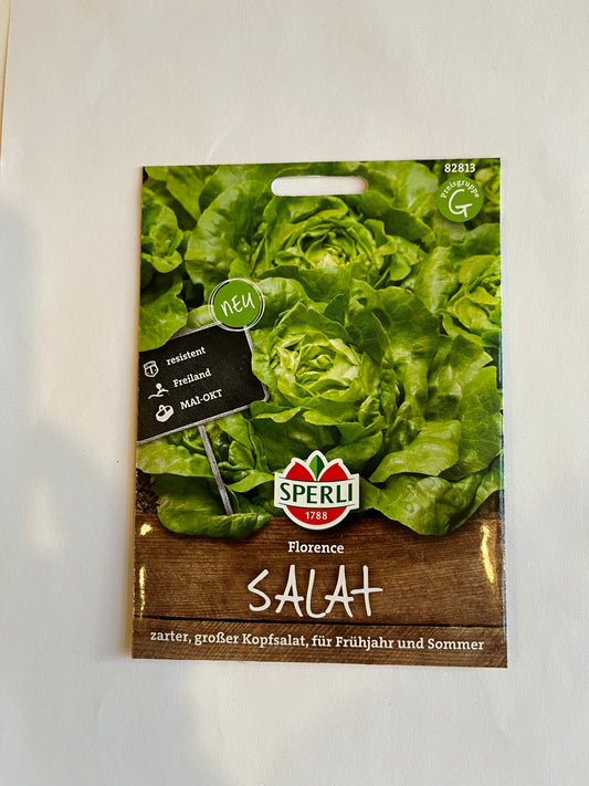 Kopfsalat Florence