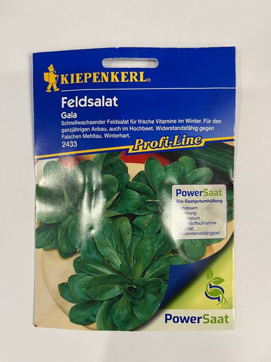 Feldsalat Gala