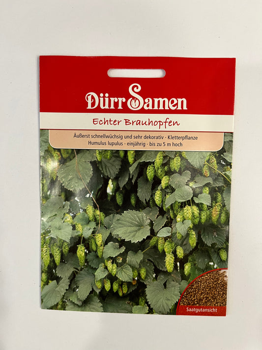Brauhopfen, echter